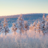 Jeris week 45 12-4726